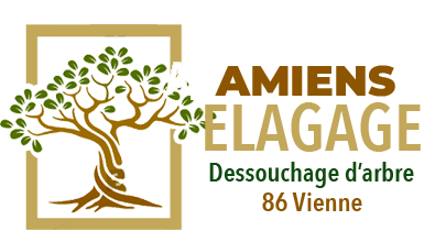 Amiens Elagage